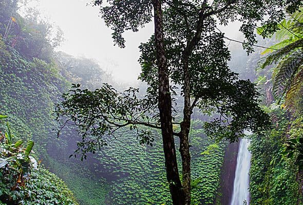 Réalisations img 07 free img